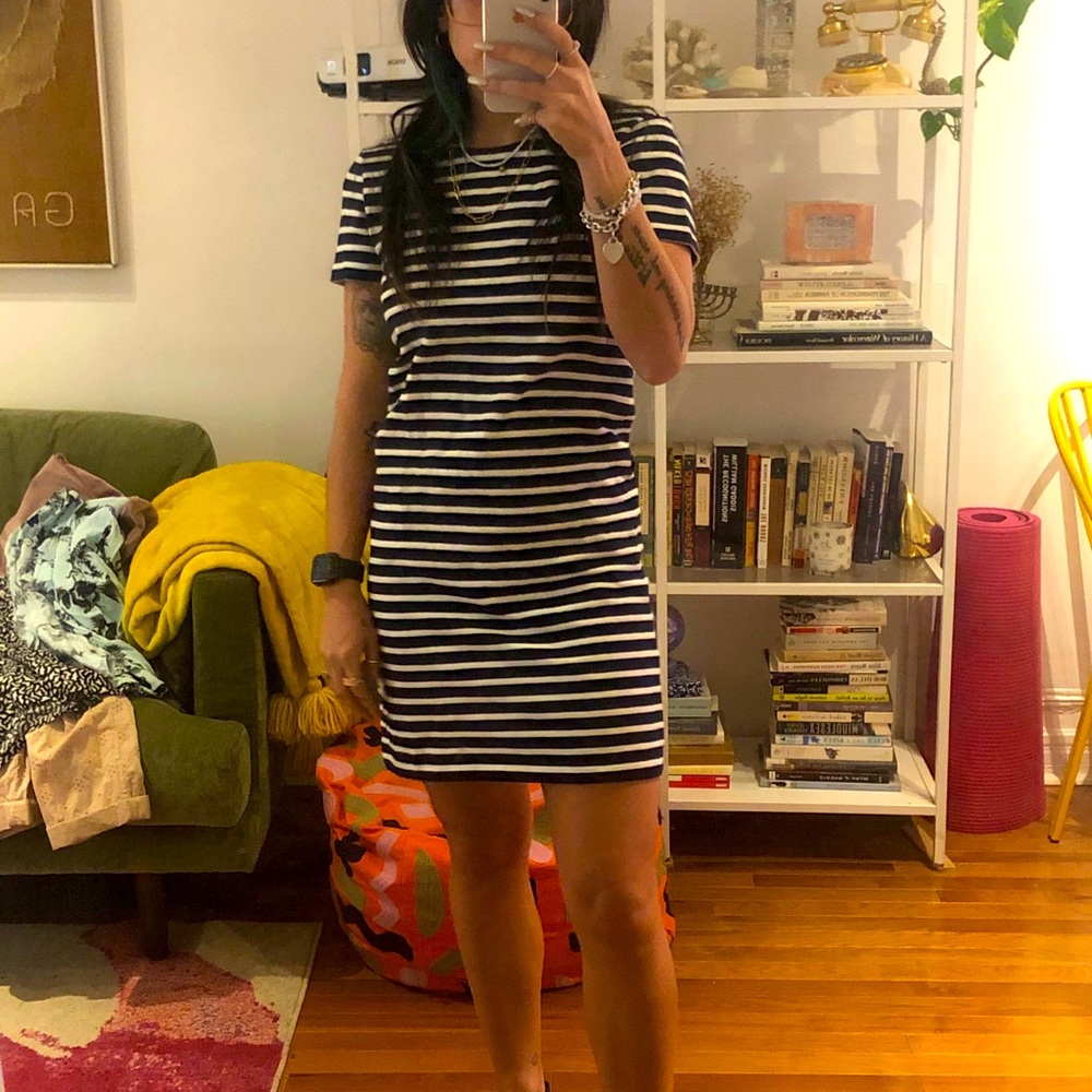 everlane dress